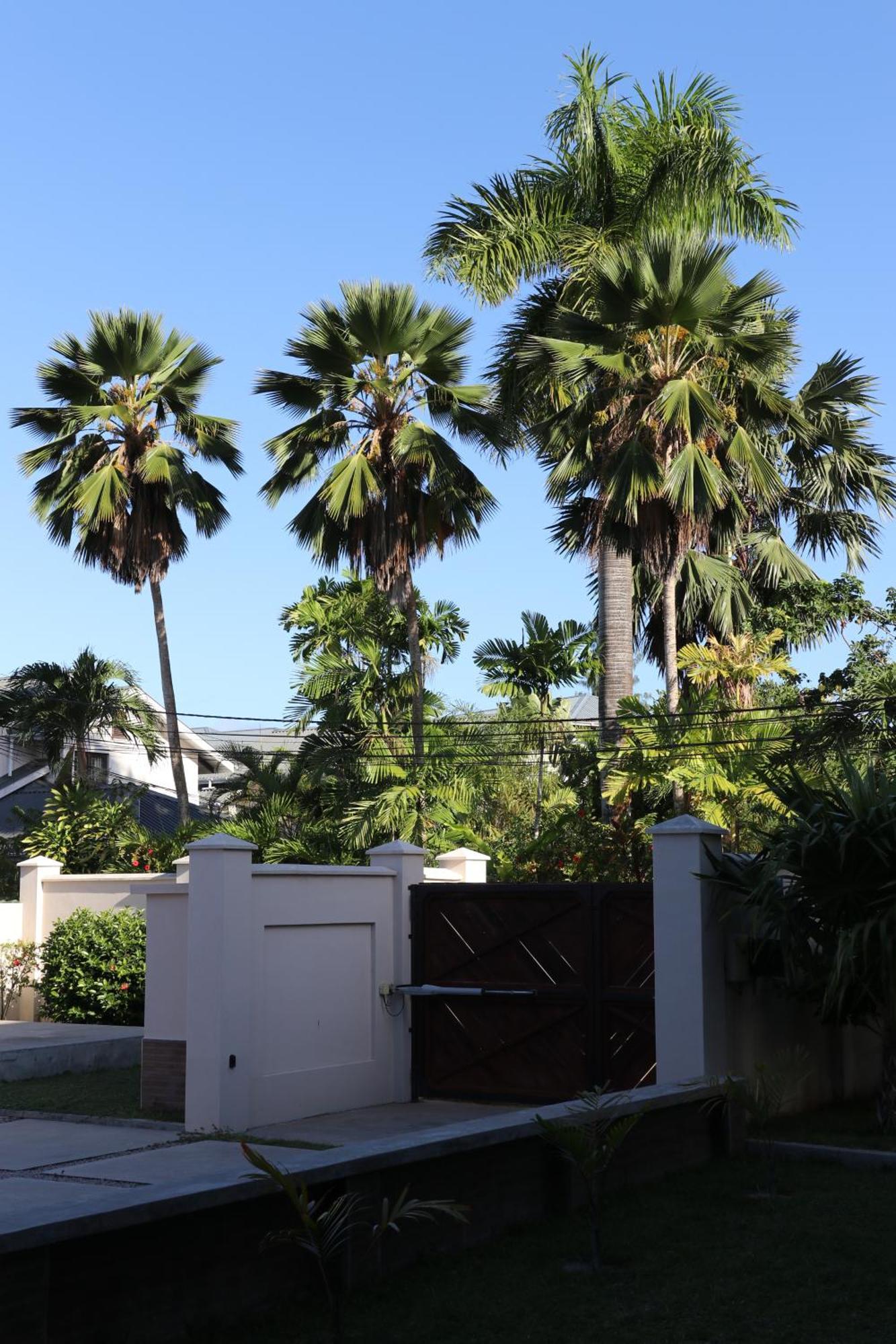Hotel La Roussette Anse aux Pins Exterior photo